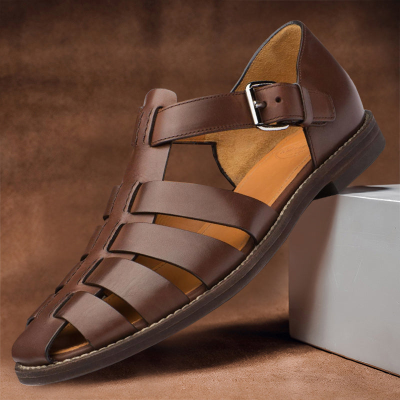 Dark Brown / 12