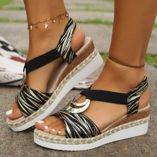 Classic Zebra / 43